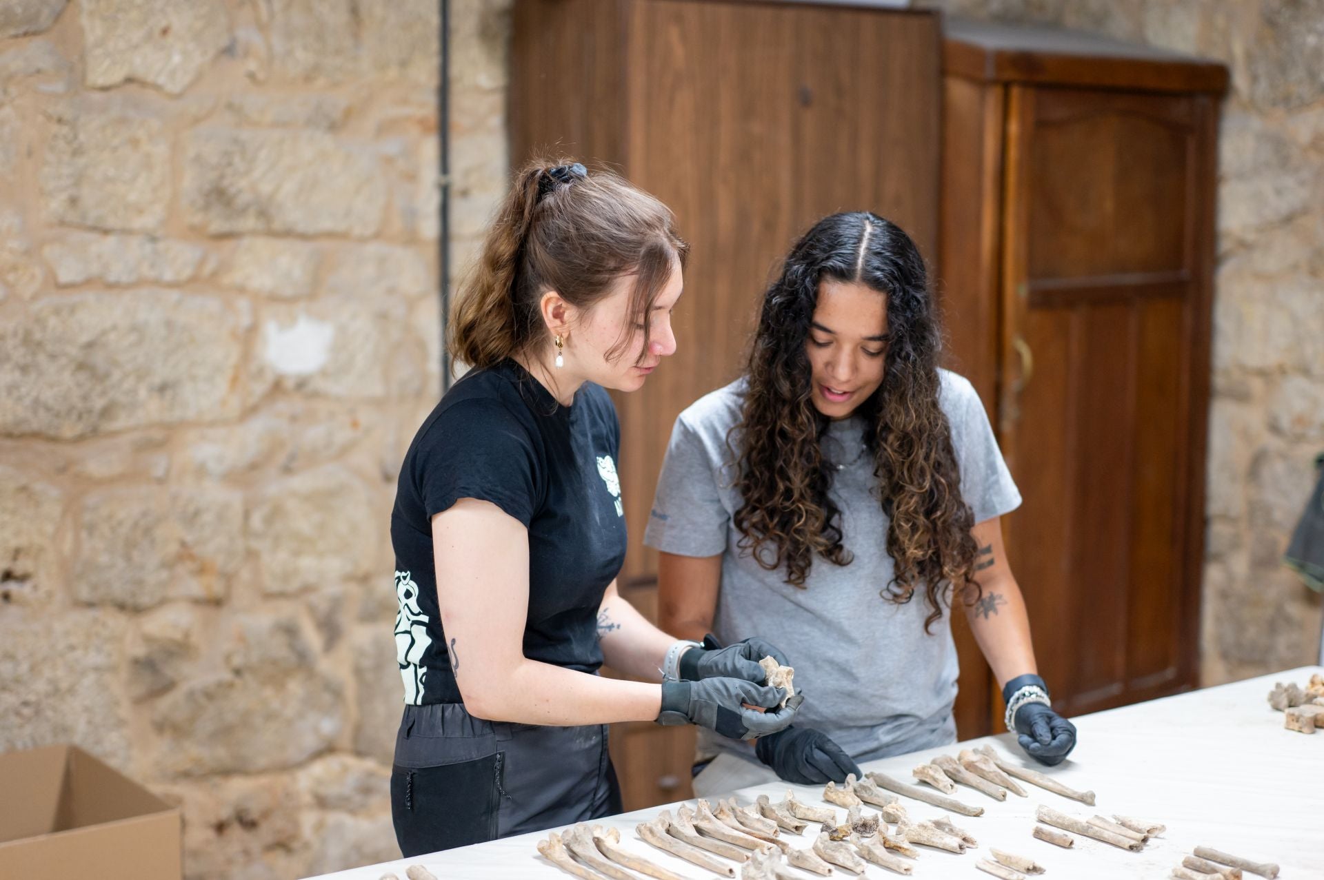 Así se analizan los huesos de la Catedral de Palencia