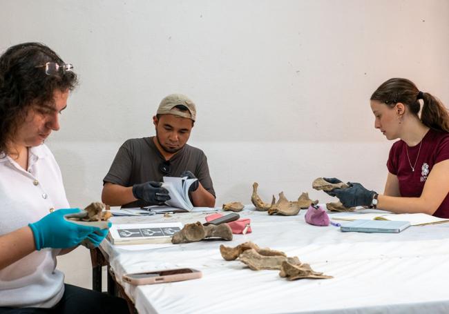 Alumnos trabajan con los restos óseos este martes.