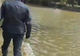 Un agente realiza comprobaciones en el Canal de Castilla a su paso por Villanueva de San Mancio.