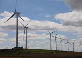 Parque eólico.