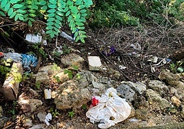 Restos de basura acumulados en la ribera del río Carrión.