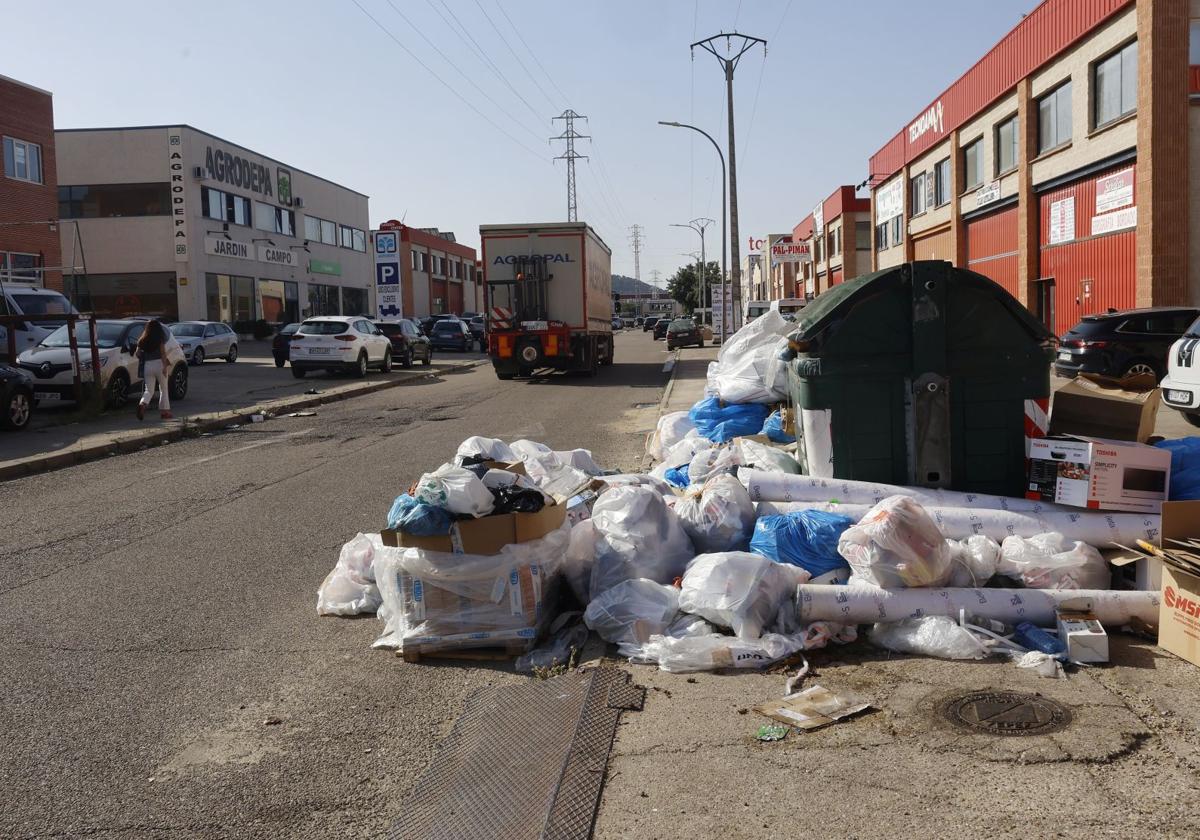 Basura acumulada, este miércoles junto a un contenedor en la calle Andalucía del polígono.