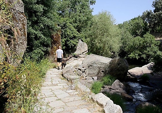 Un hombre pasea junto a su perro por la Senda de los Molinos.