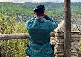 Agente del Seprona, en imagen de archivo.