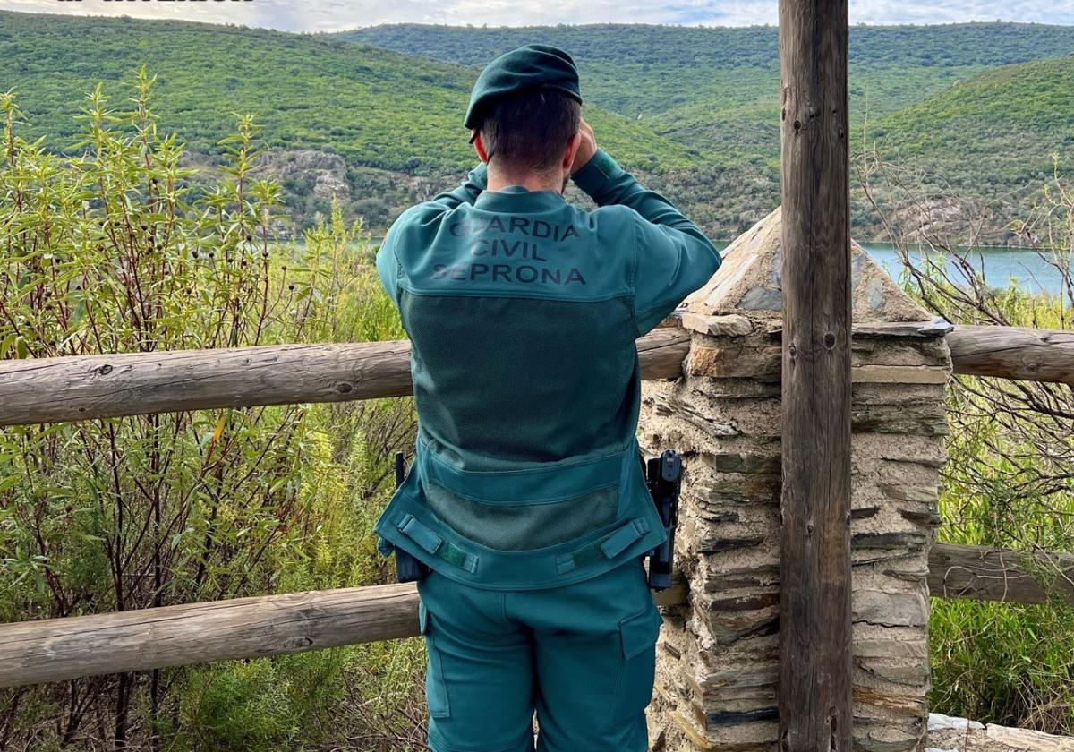 Agente del Seprona, en imagen de archivo.