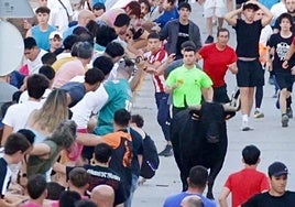 Imagen del Toro de las Peñas, que corneó al menor en Zaratán.