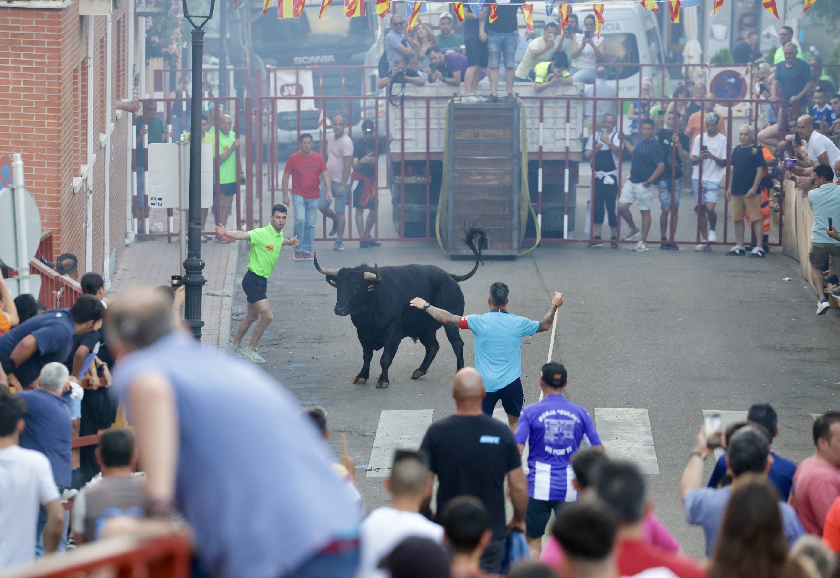 Las imágenes del Toro de las Peñas de Zaratán