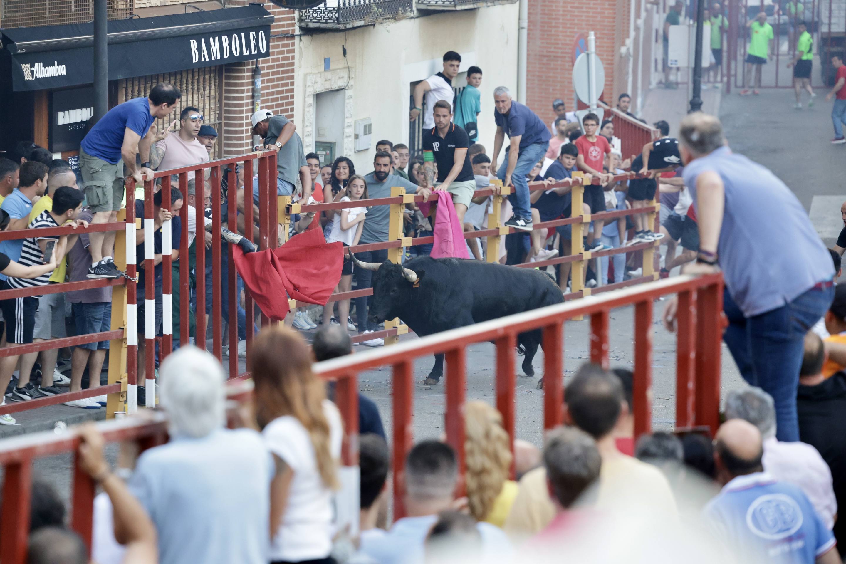 Las imágenes del Toro de las Peñas de Zaratán