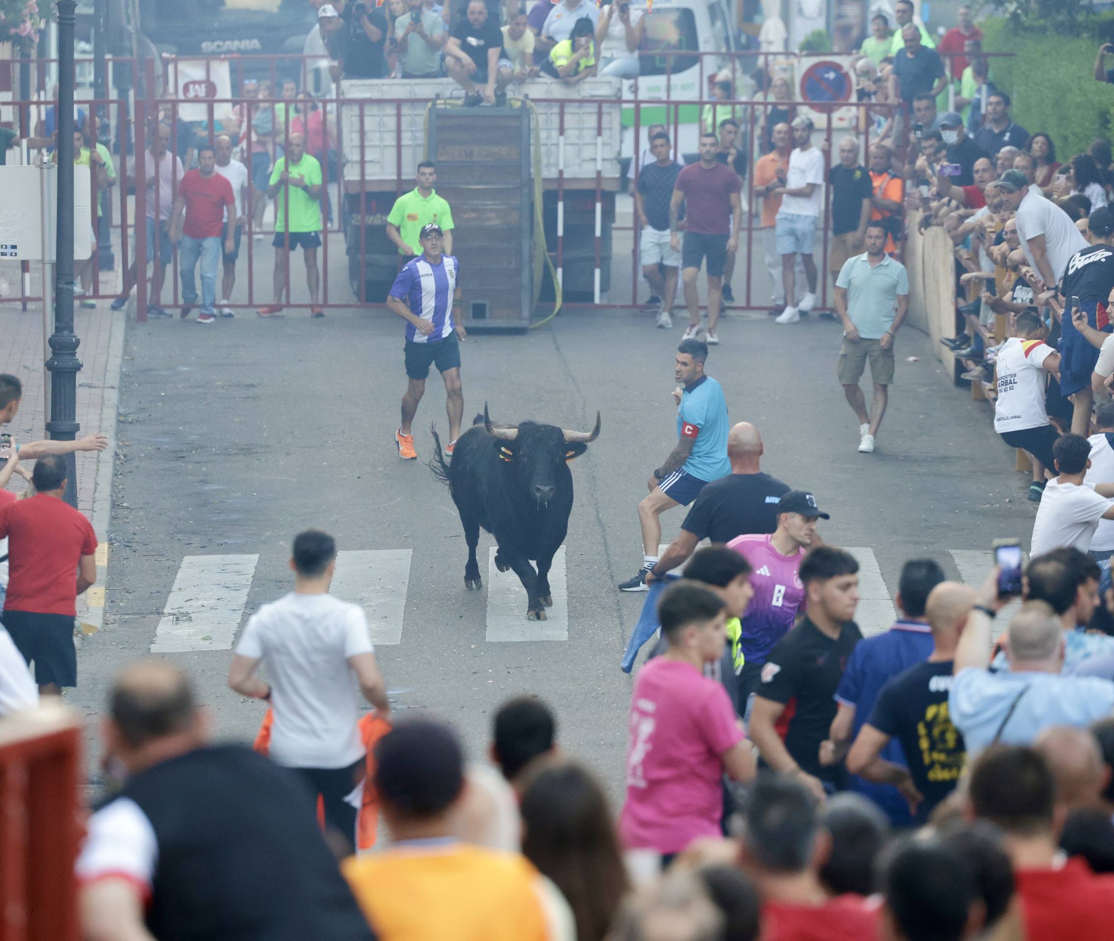 Las imágenes del Toro de las Peñas de Zaratán