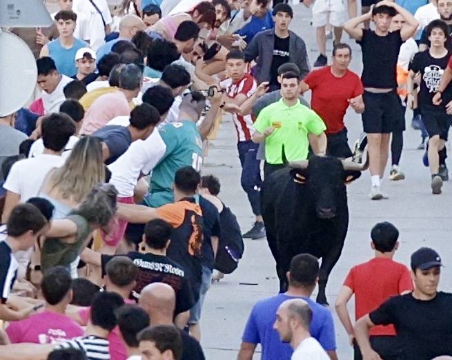 Las imágenes del Toro de las Peñas de Zaratán