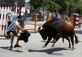 Un joven cita a Tequila, el Toro dle Corpus 2025 de Zaratán.