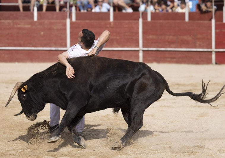 Mario Parrado, campeón de la segunda semifinal de la Liga de Corte Puro.