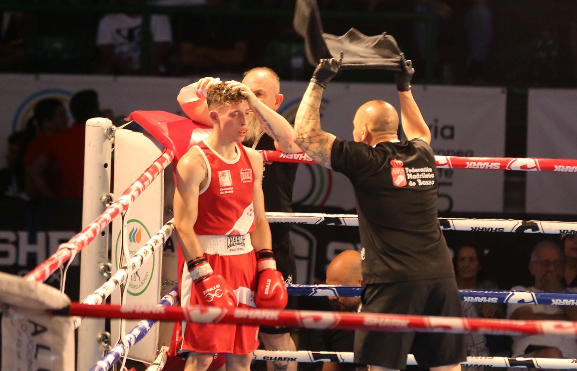 Fotos del campeonato de boxeo en Segovia