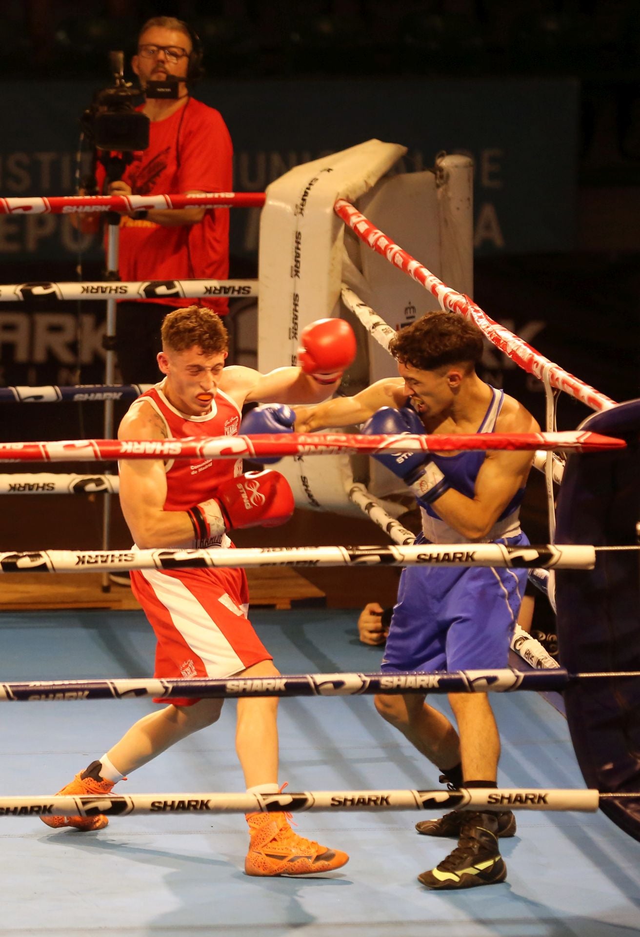 Fotos del campeonato de boxeo en Segovia
