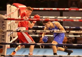 Campeonato de España de Boxeo Élite en Segovia