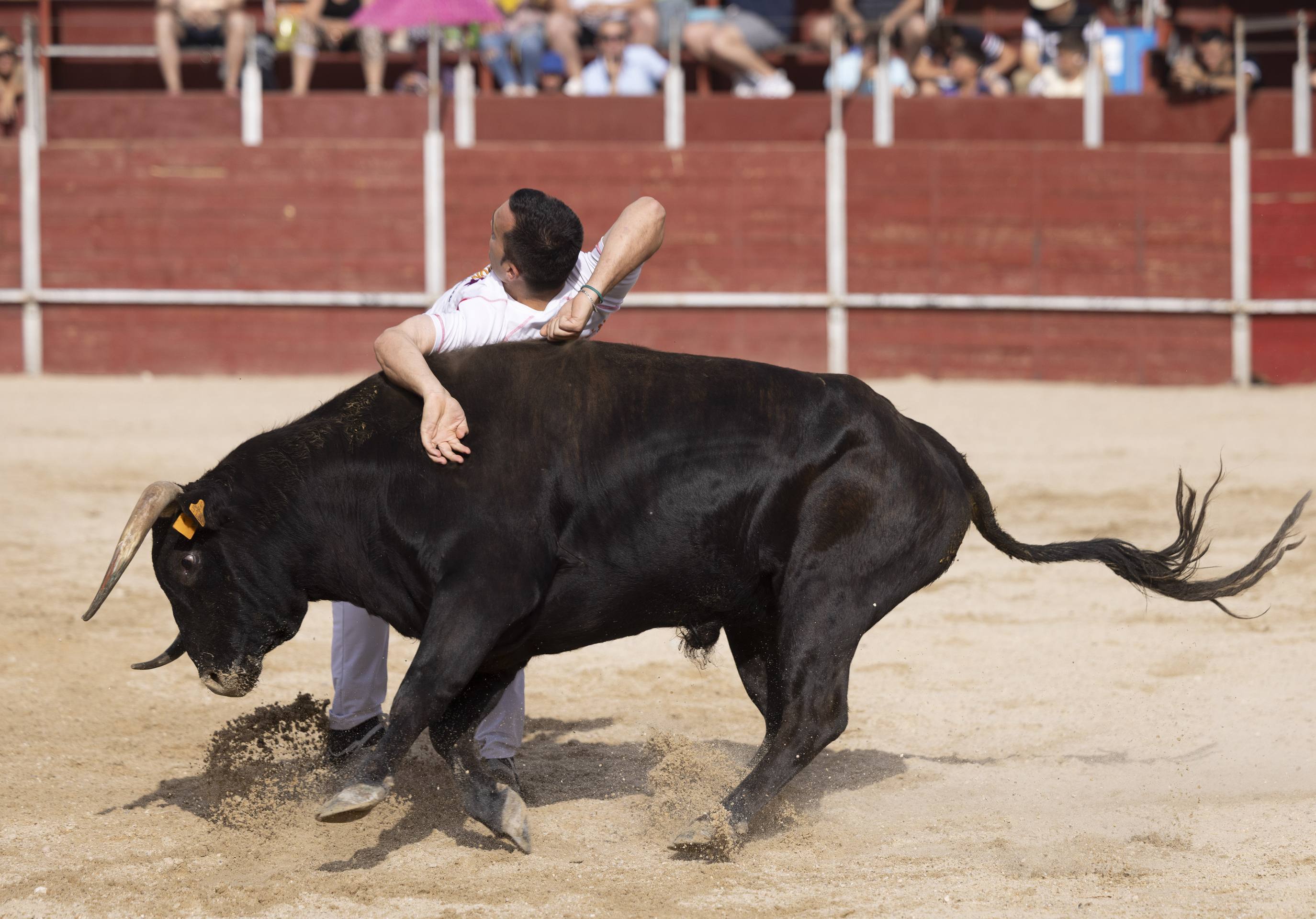 Las imágenes de la Liga del Corte Puro en Zaratán
