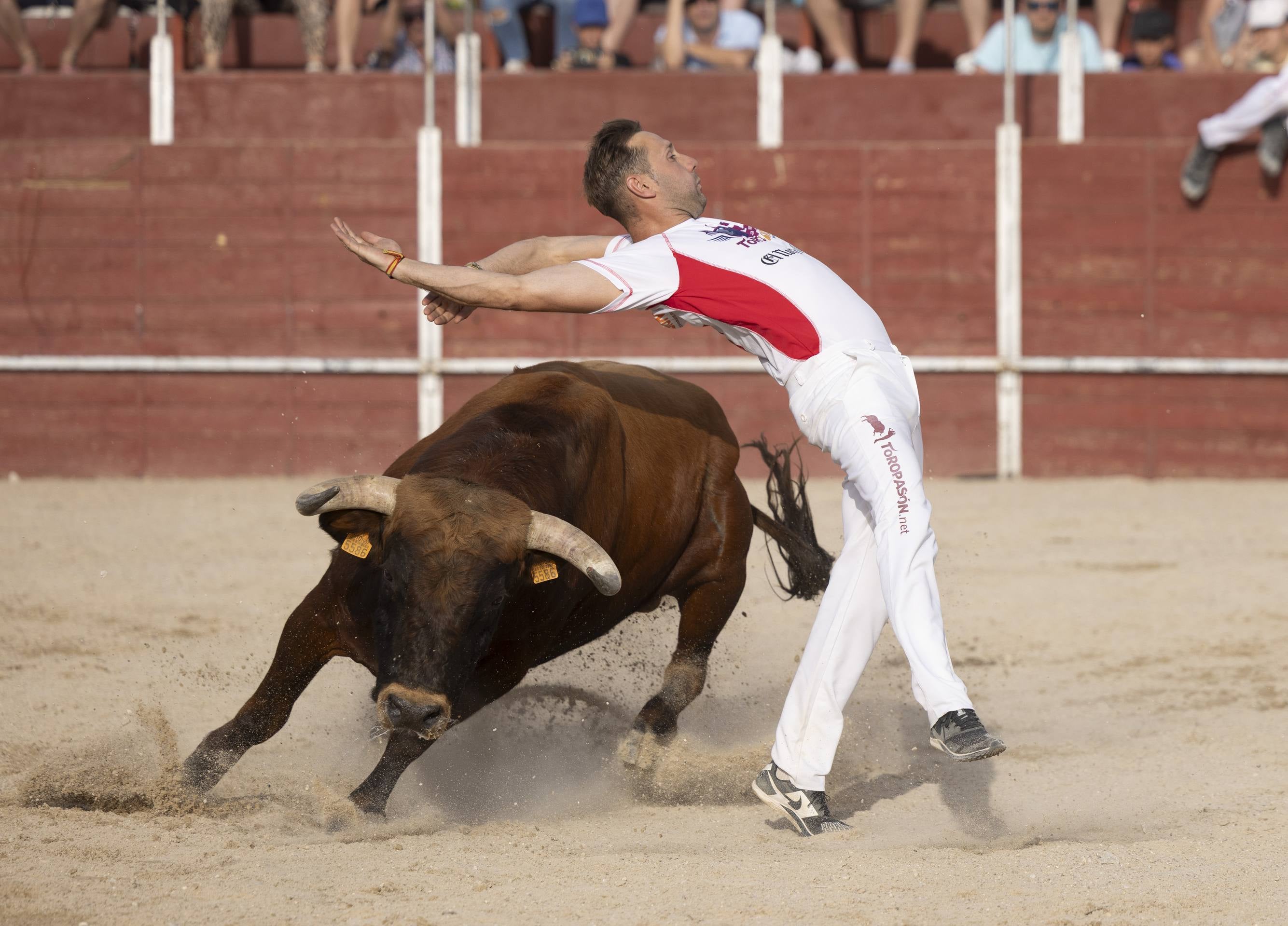 Las imágenes de la Liga del Corte Puro en Zaratán