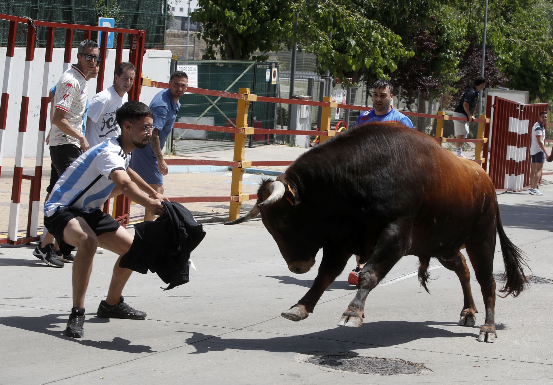 Encierro en Zaratán el día del Corpus
