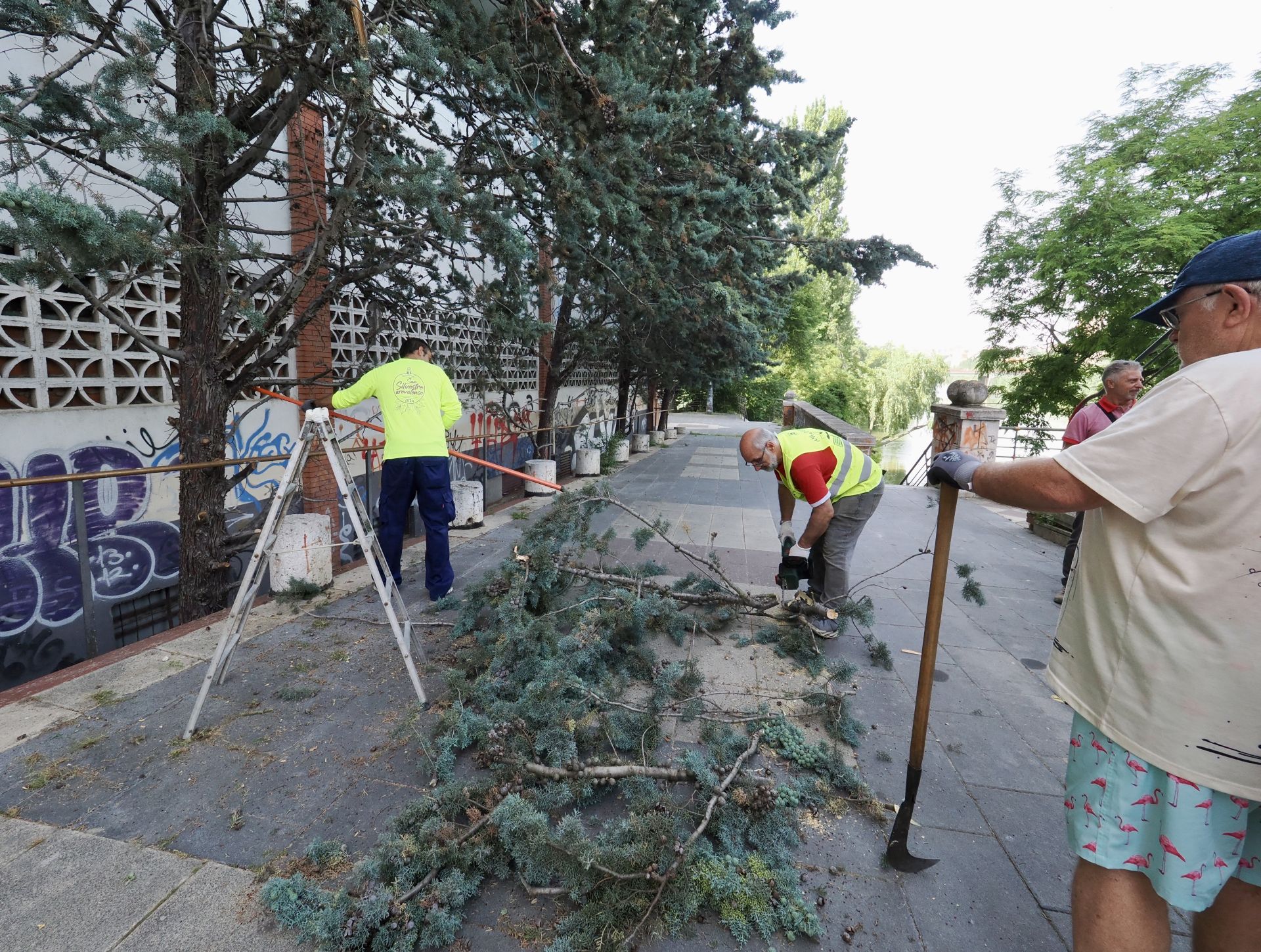 La asociación A. M. A El Pisuerga limpia el nuevo mirador sobre el río