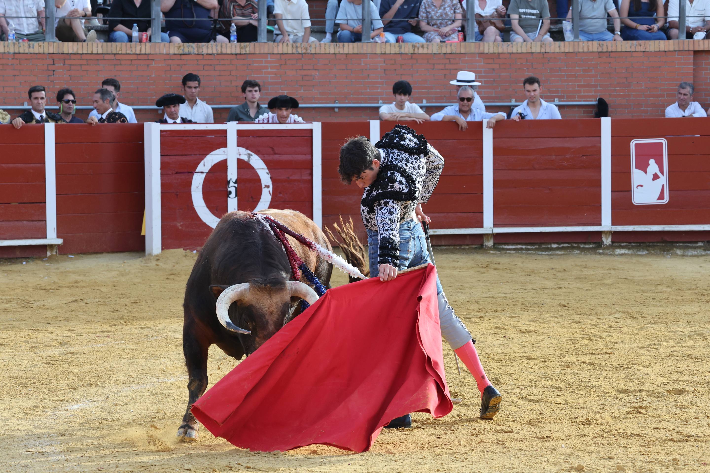La novillada en Nava del Rey, en imágenes