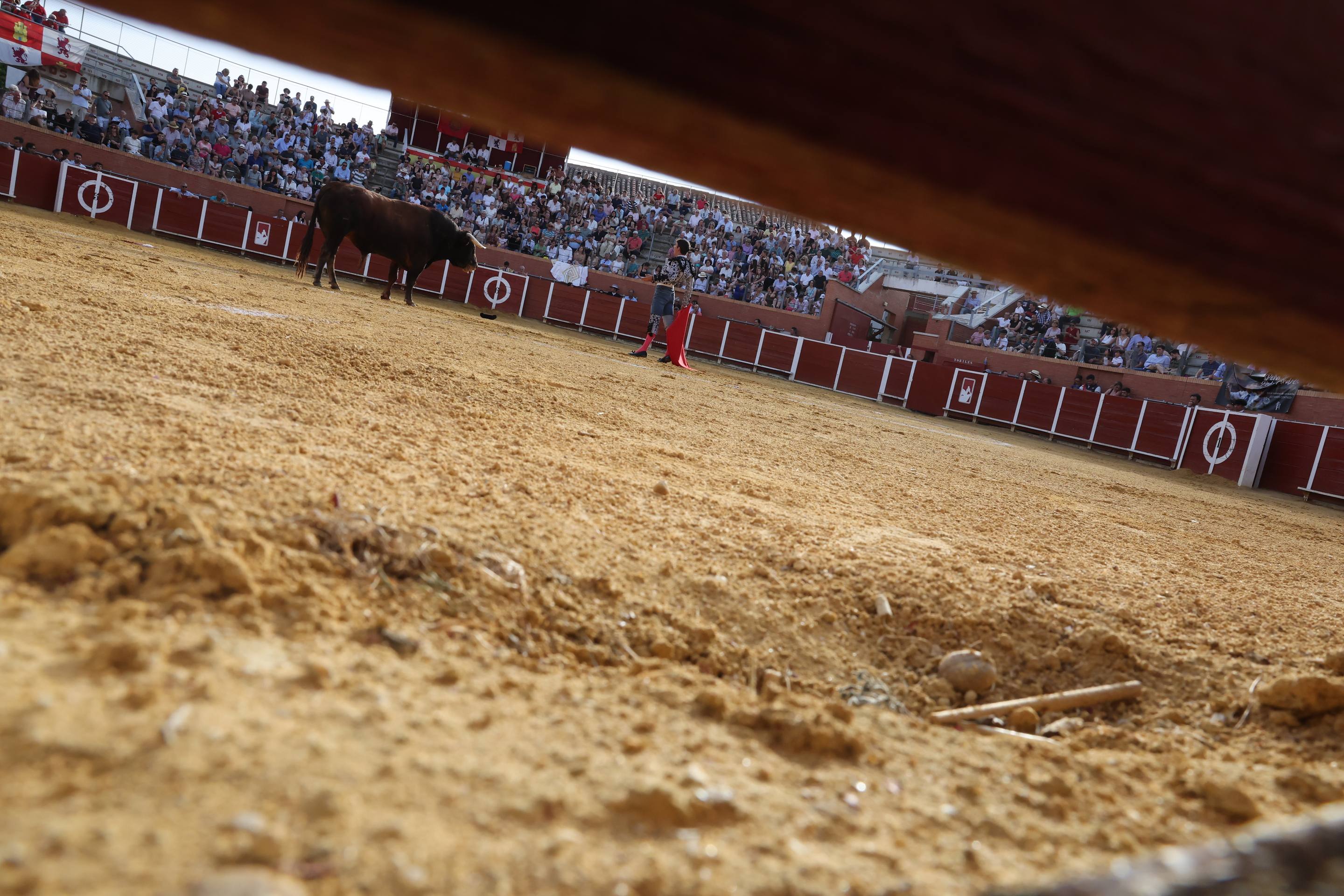 La novillada en Nava del Rey, en imágenes