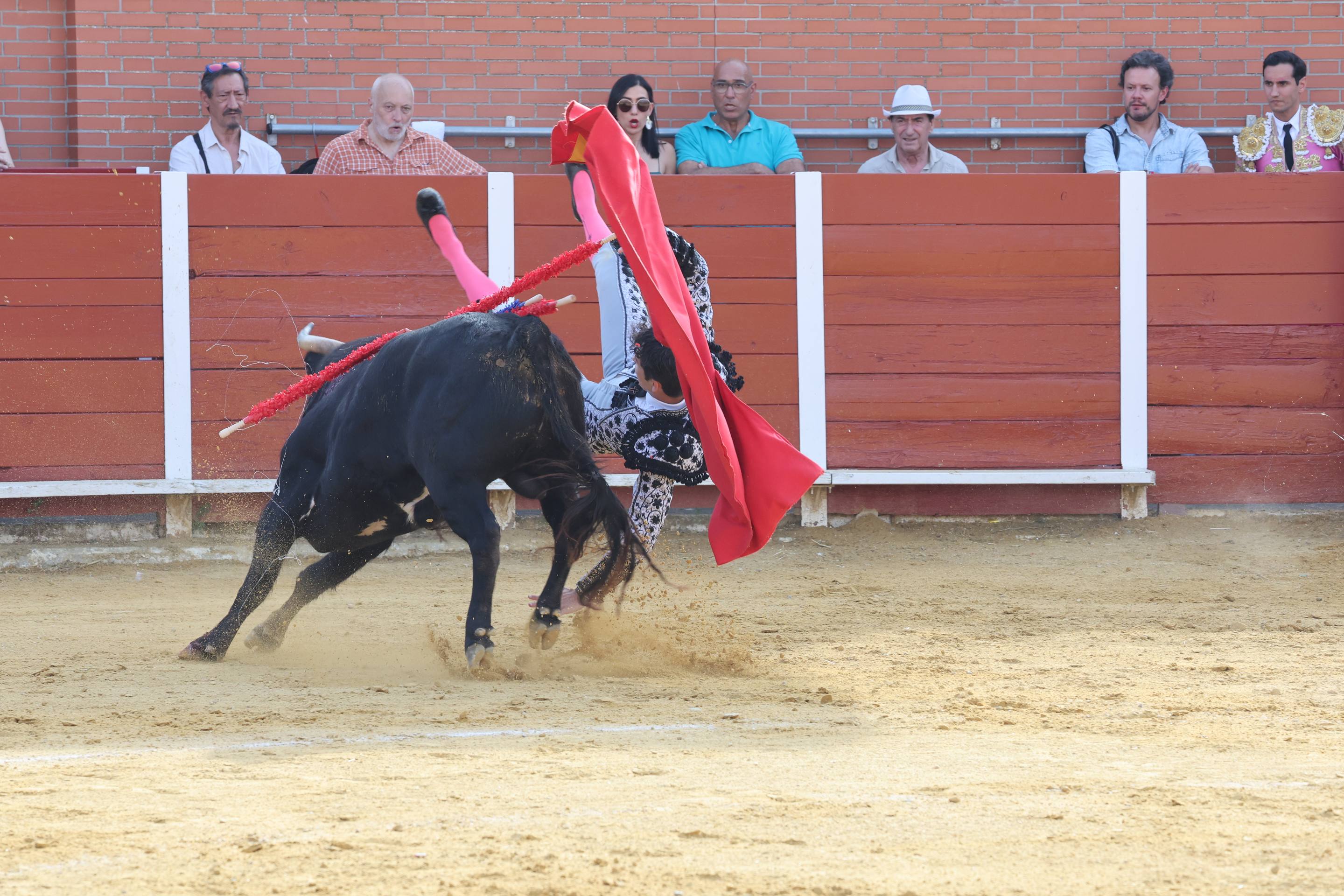 La novillada en Nava del Rey, en imágenes