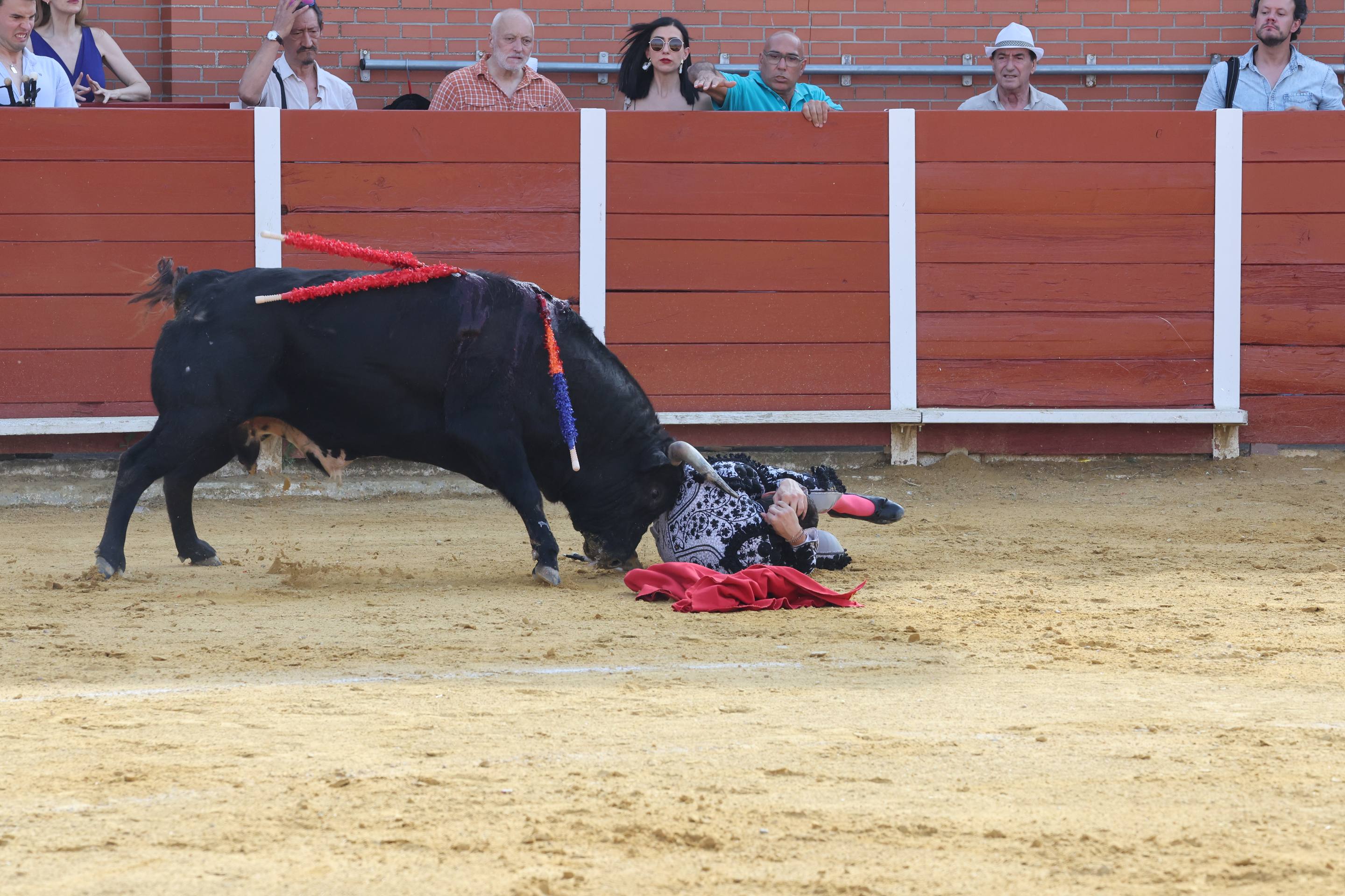 La novillada en Nava del Rey, en imágenes
