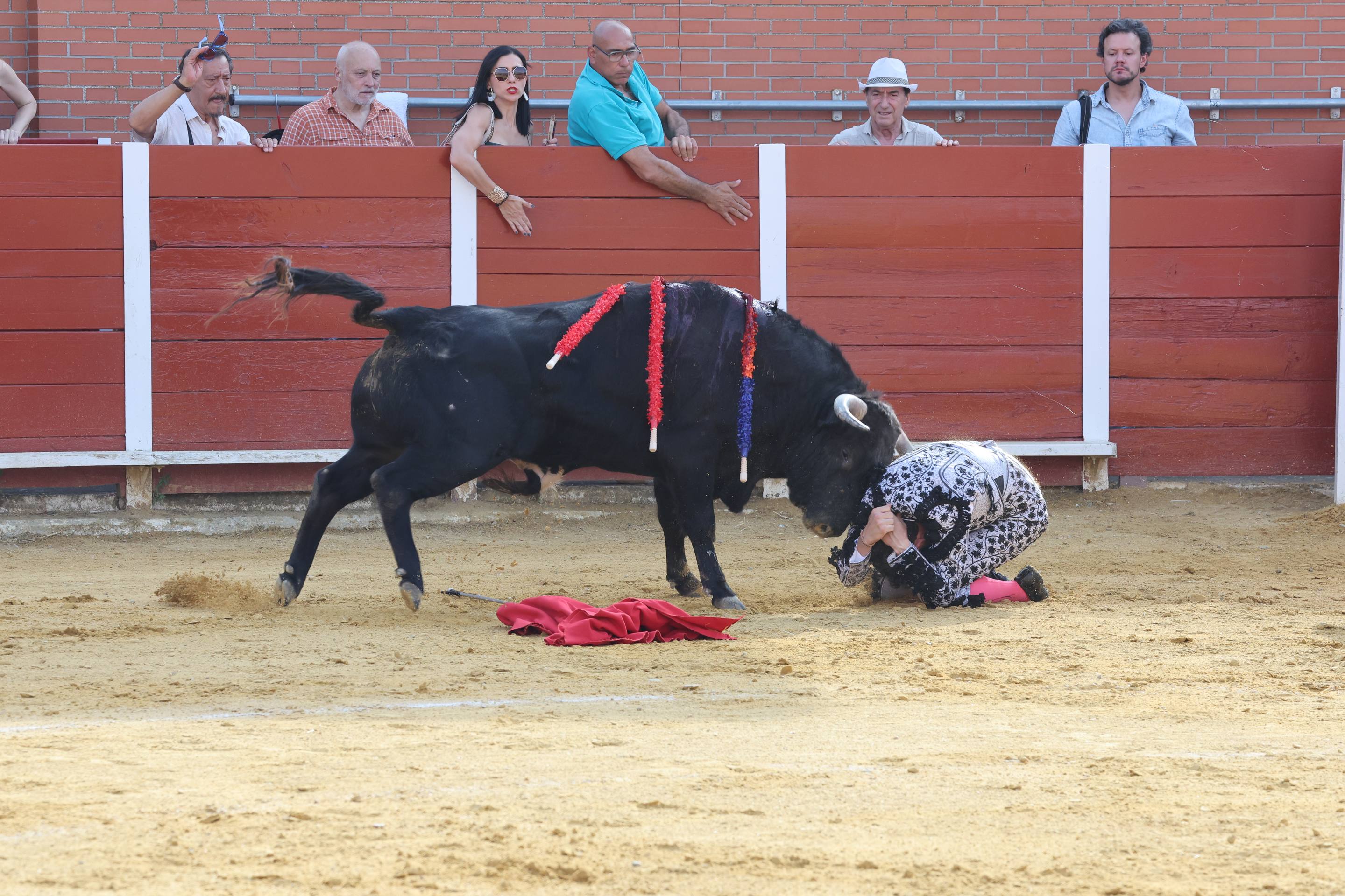 La novillada en Nava del Rey, en imágenes