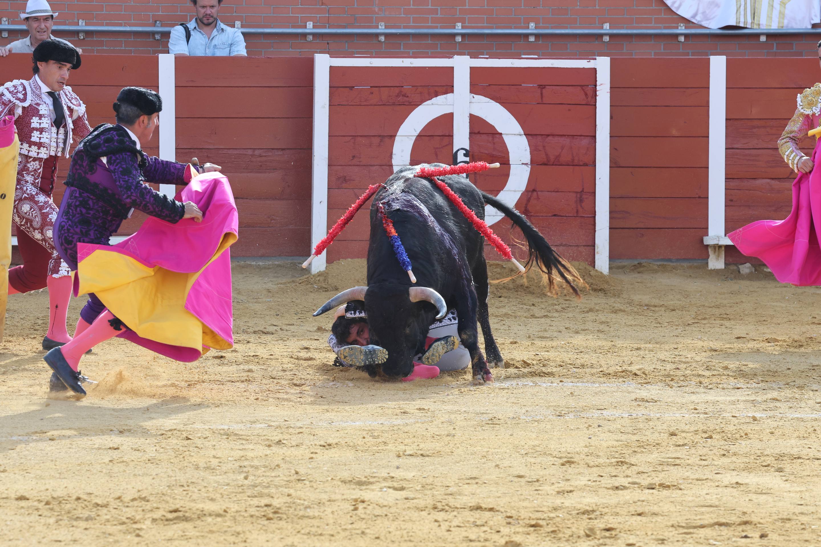 La novillada en Nava del Rey, en imágenes