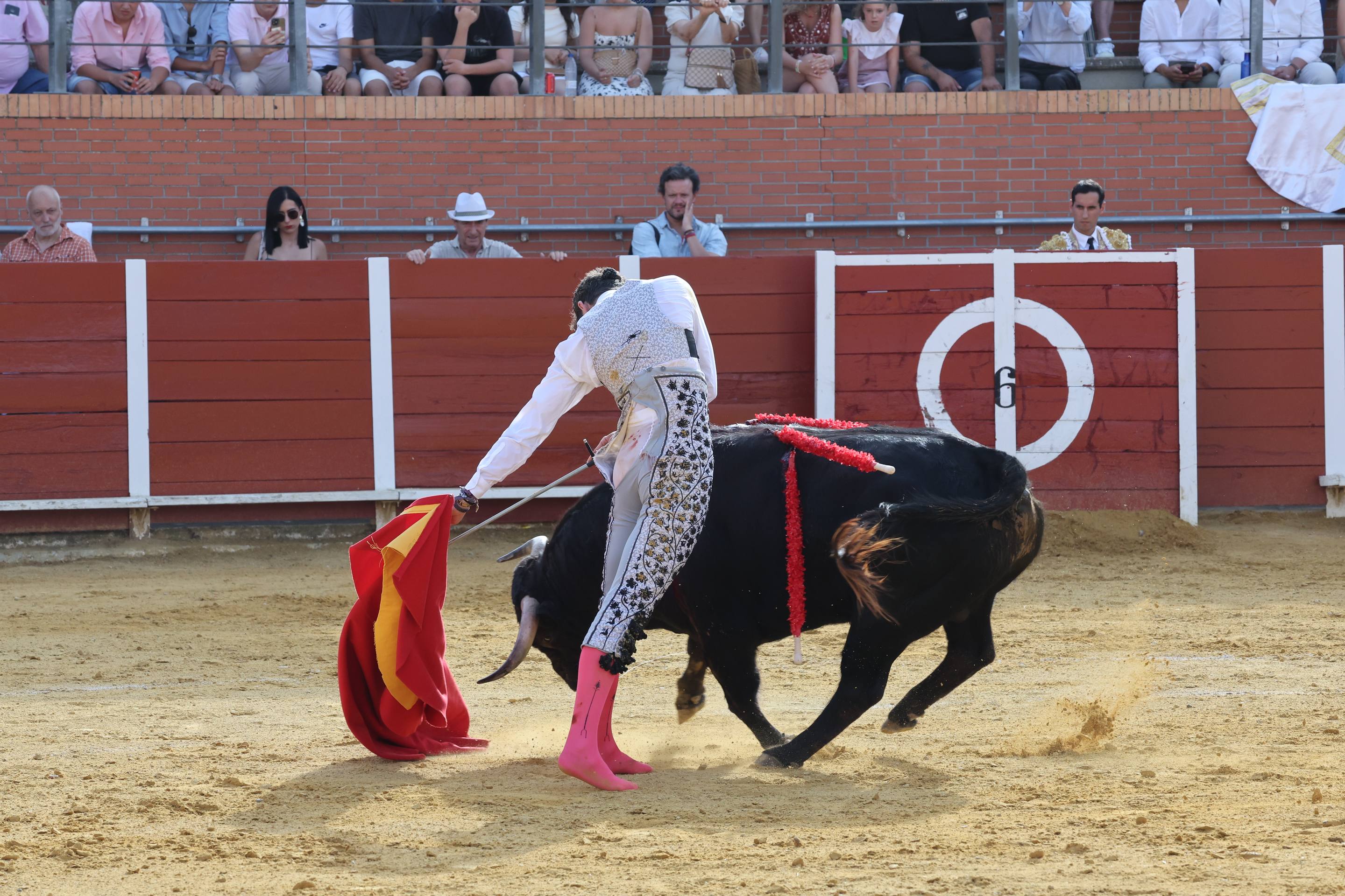 La novillada en Nava del Rey, en imágenes