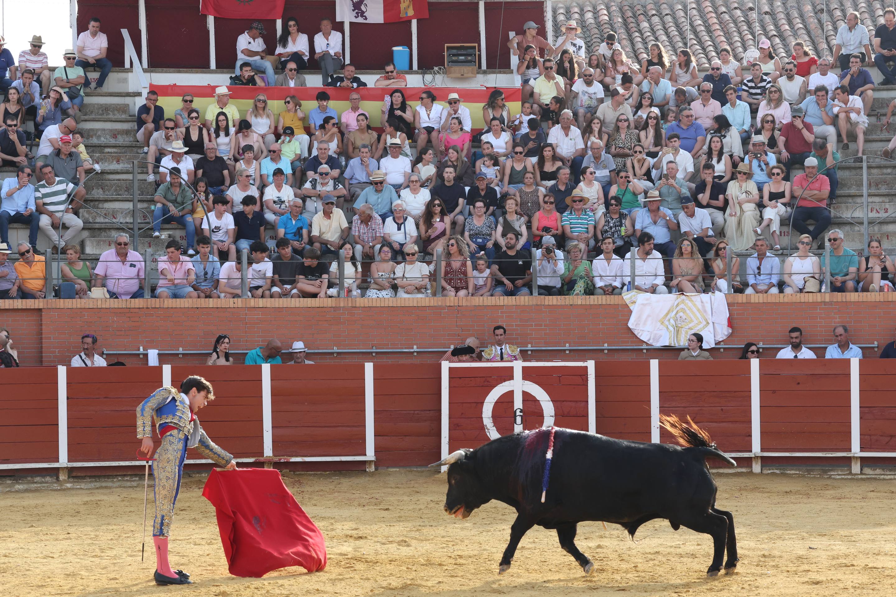La novillada en Nava del Rey, en imágenes