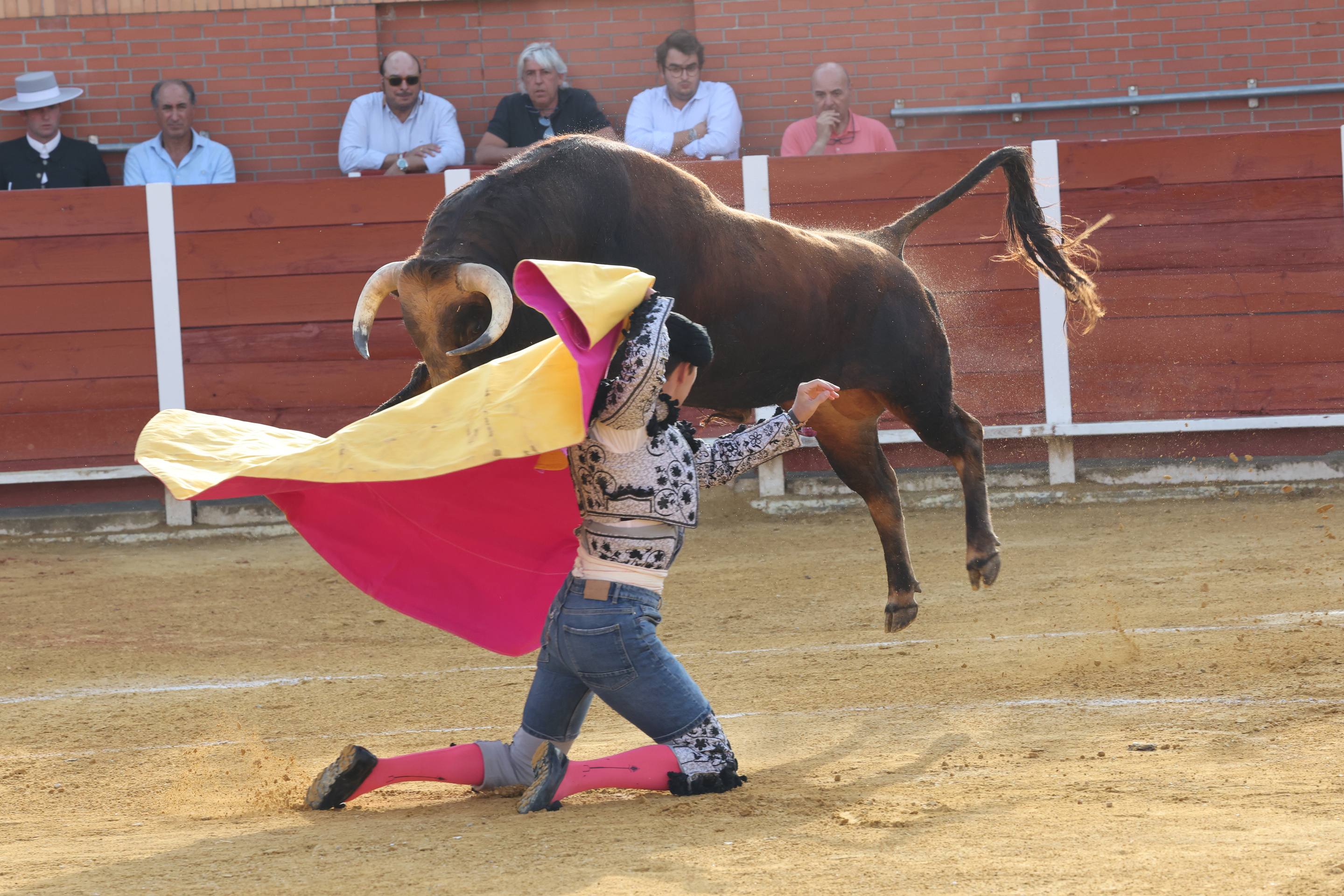 La novillada en Nava del Rey, en imágenes