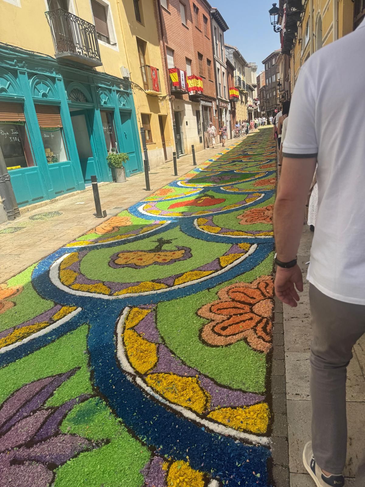 Así han sido las alfombras florales de Carrión en el Corpus