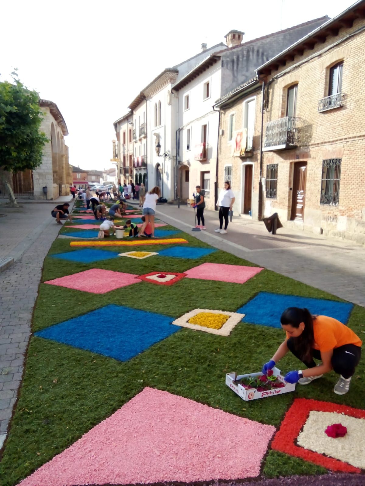 Así han sido las alfombras florales de Carrión en el Corpus