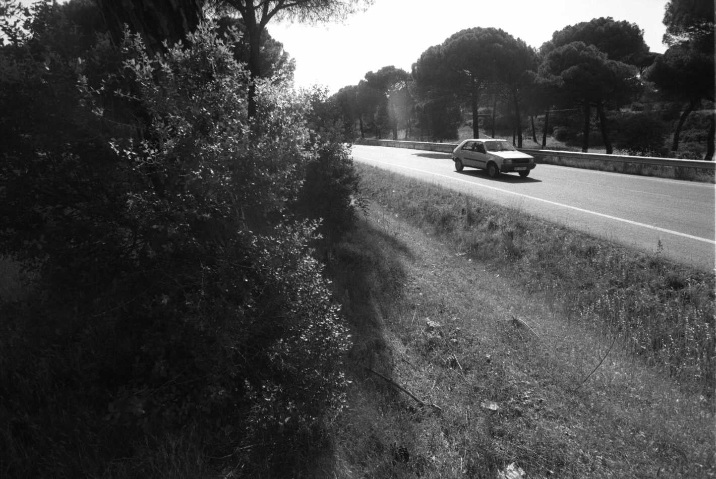 Carretera entre Puente Duero y Valdestillas. Enero de 1997.