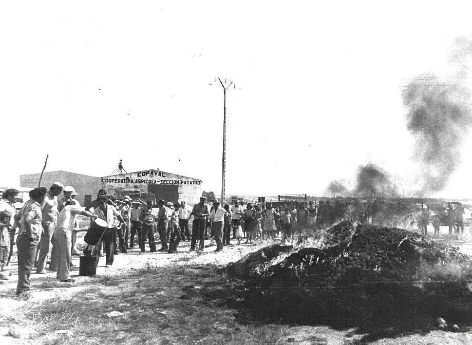 Quema de patatas en Valdestillas el 22 de agosto de 1978.
