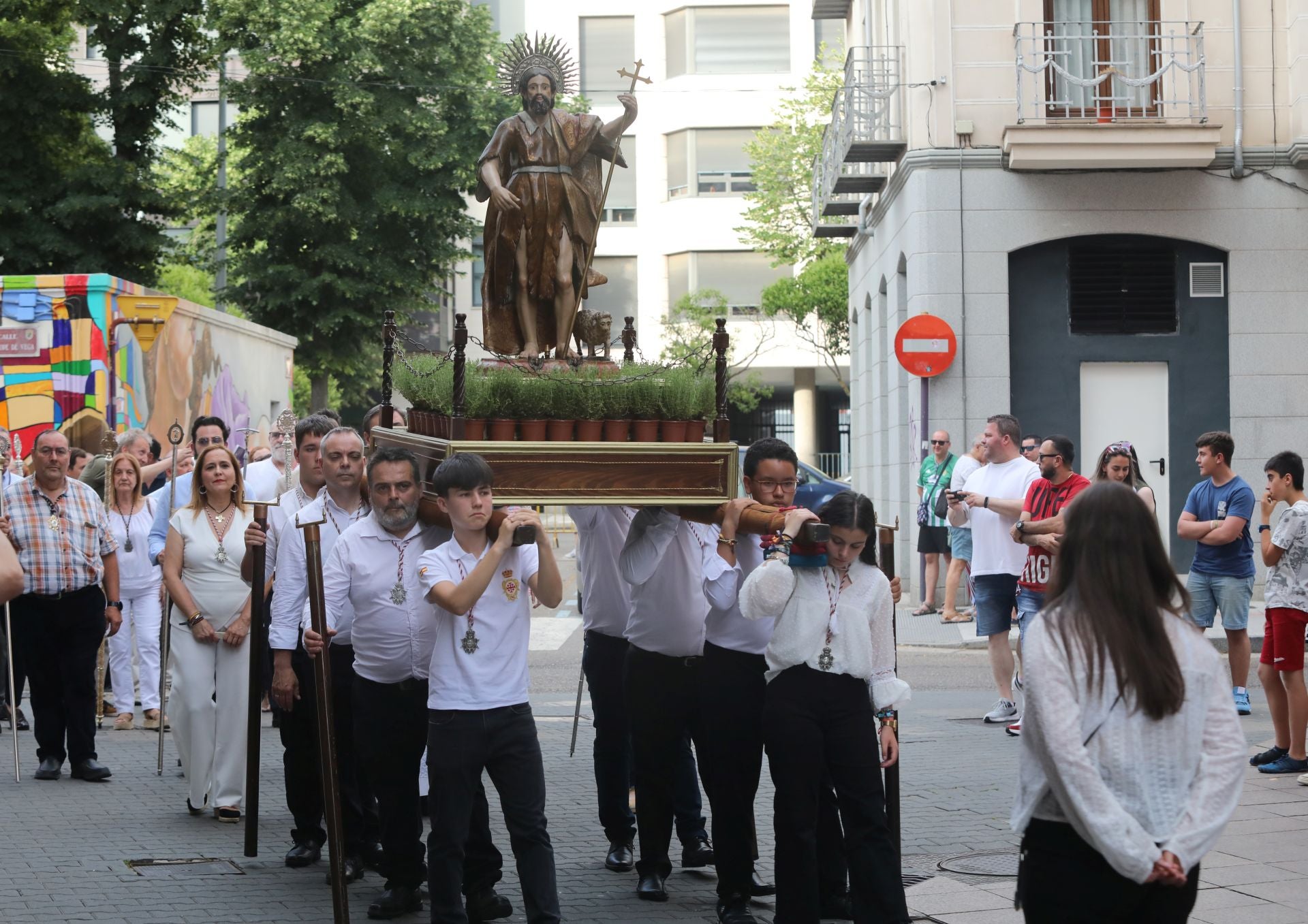 Miles de plantas de tomillo para festejar San Juan en Palencia