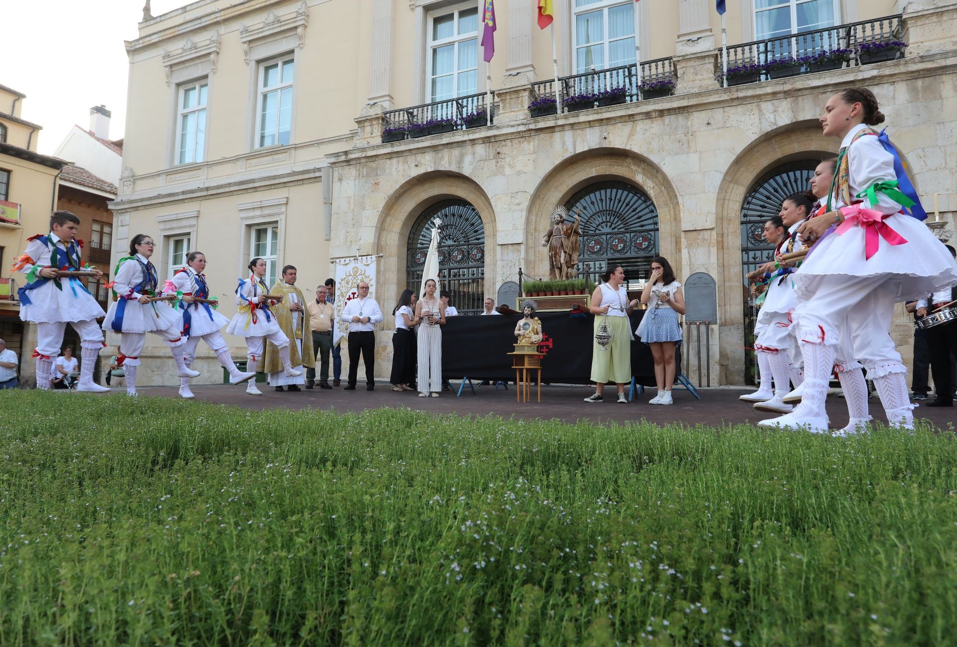 Miles de plantas de tomillo para festejar San Juan en Palencia