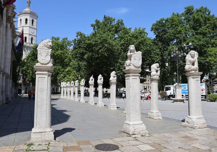 Leones en la Plaza de la Universidad.