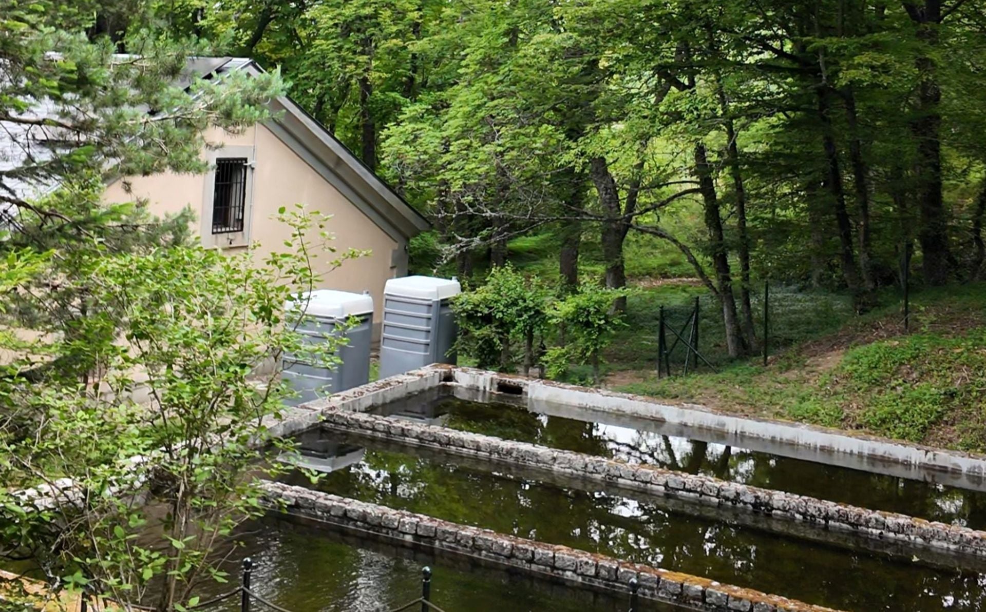 Piscifactoría de truchas del Real Sitio de San Ildefonso.
