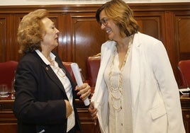 El último pleno de Araceli Villegas en la Diputación de Palencia