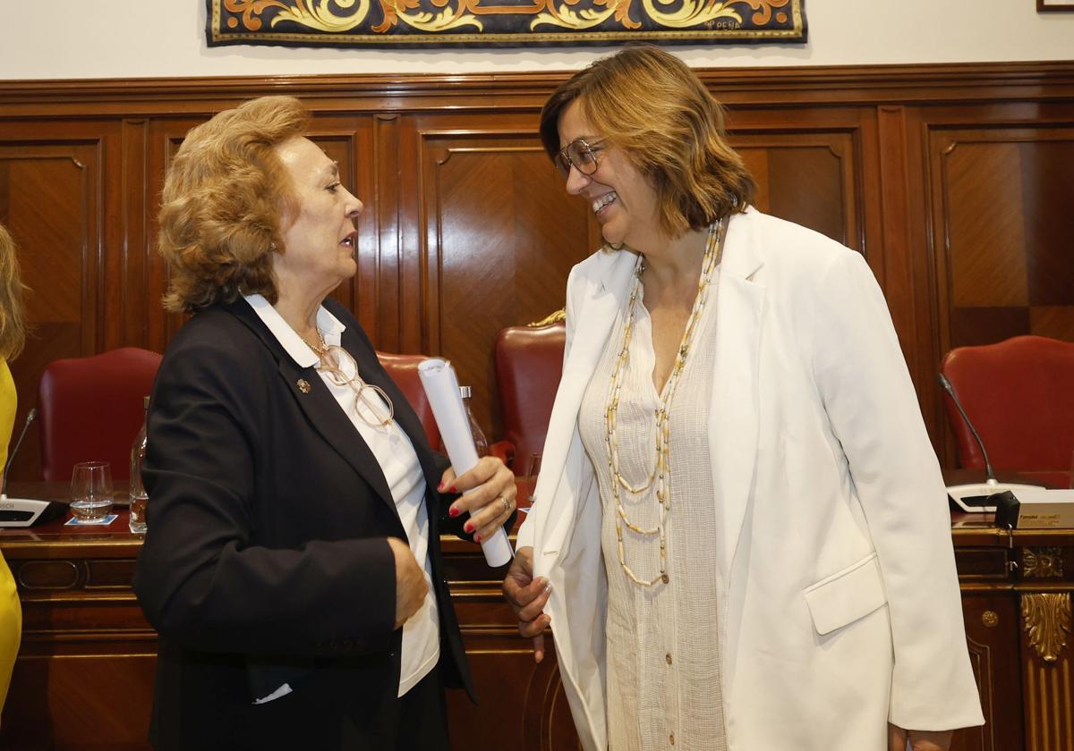 El último pleno de Araceli Villegas en la Diputación de Palencia