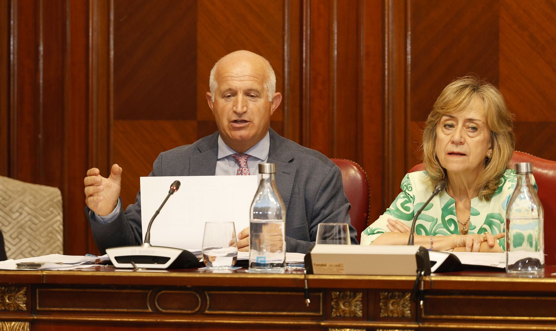 El último pleno de Araceli Villegas en la Diputación de Palencia
