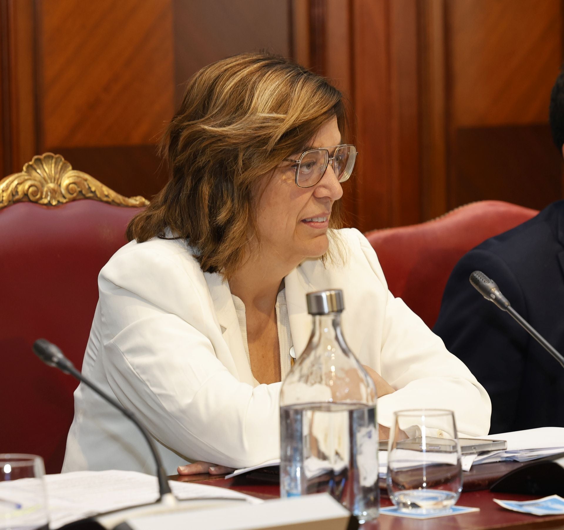El último pleno de Araceli Villegas en la Diputación de Palencia