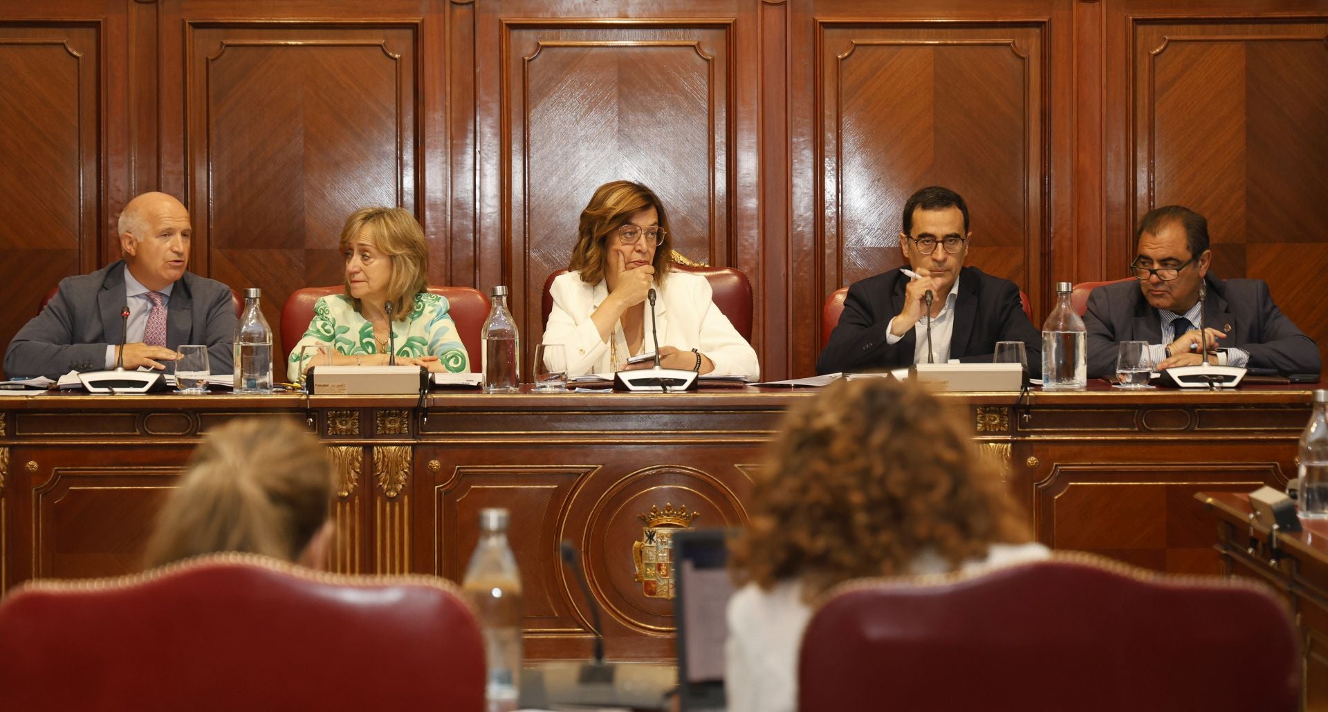 El último pleno de Araceli Villegas en la Diputación de Palencia