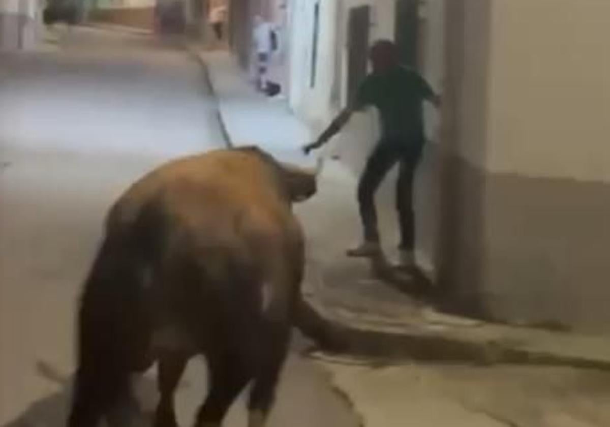 Susto en el primer encierro de las fiestas de Siete Iglesias