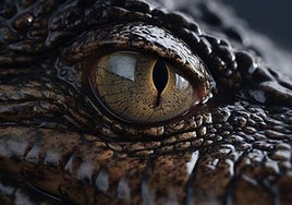 Aspecto que tendría el Iberosuchus.