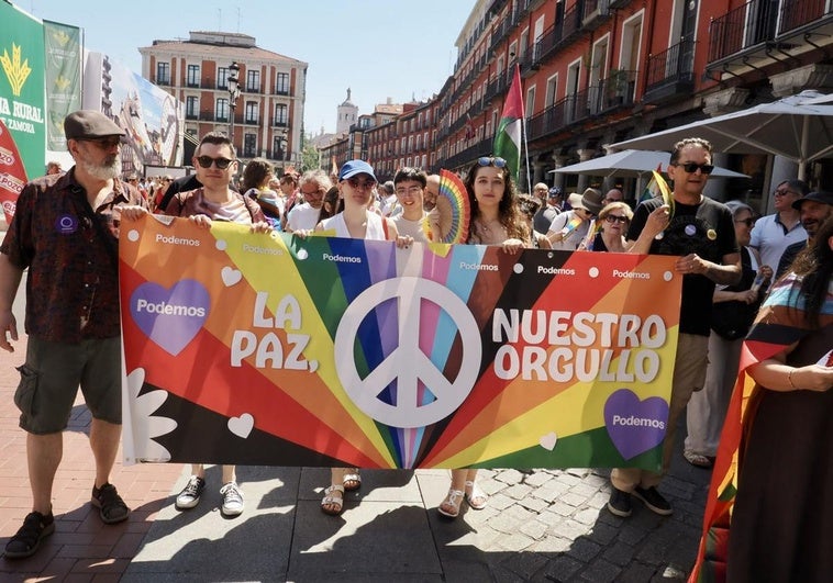 Participantes en la marcha de este sábado por las calles de Valladolid.