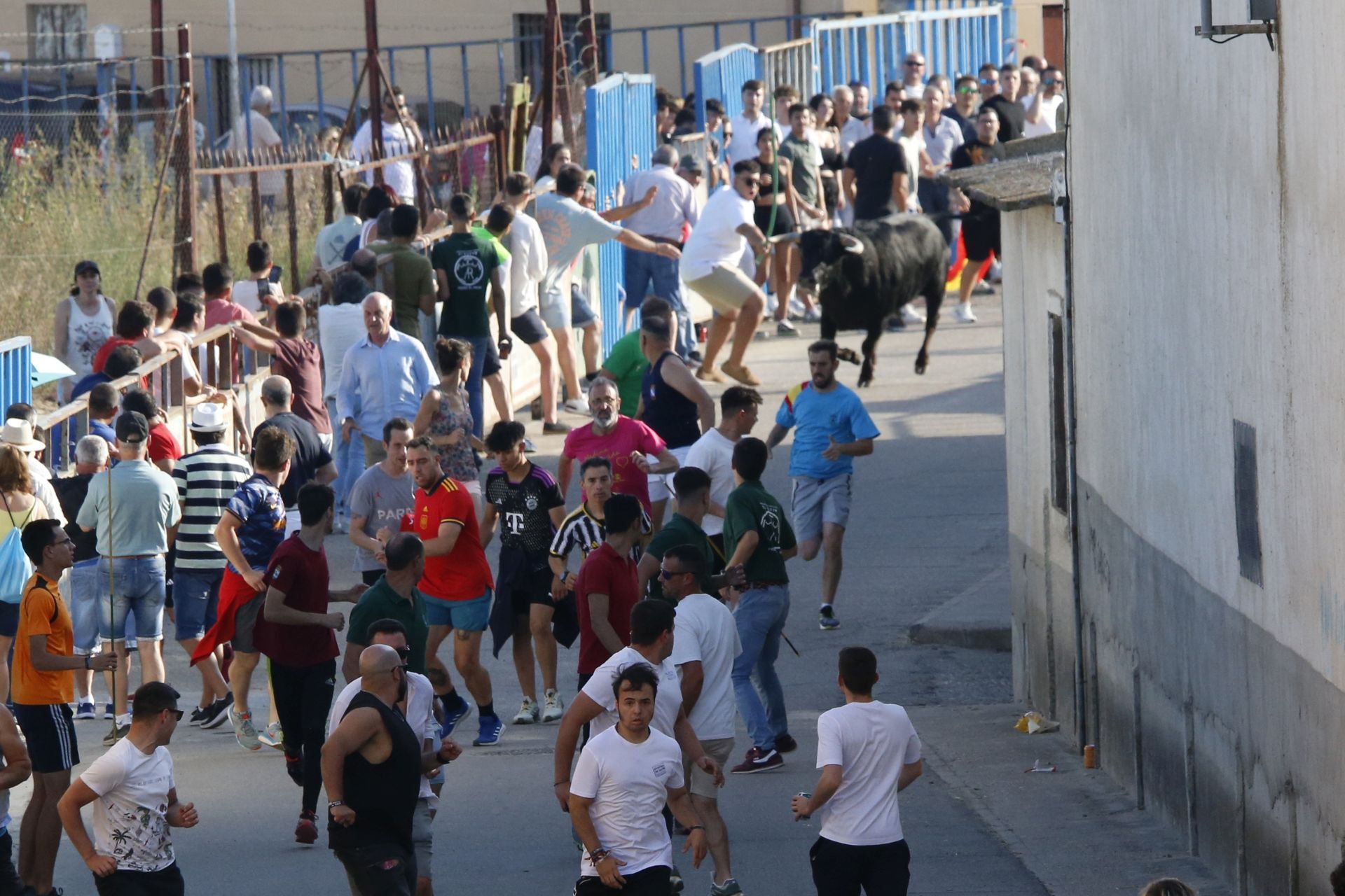 Las imágenes del encierro en Fresno el Viejo