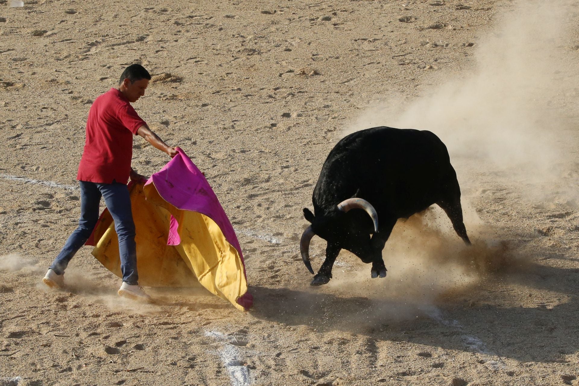 Las imágenes del encierro en Fresno el Viejo